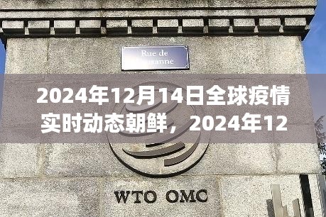 聚焦朝鮮,全球疫情實時動態與防控進展、挑戰及未來展望