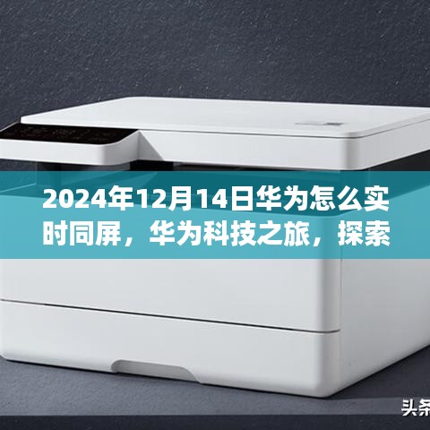 華為科技之旅,實時同屏探索自然美景的寧靜之旅(2024年12月14日)