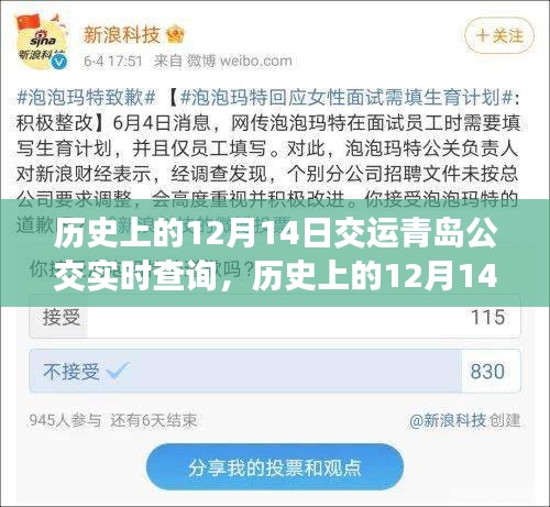 歷史上的12月14日,青島公交實時查詢系統(tǒng)的變遷與影響