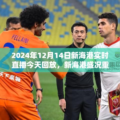 2024年12月14日新海港盛況重現(xiàn),實時直播日回顧與回放