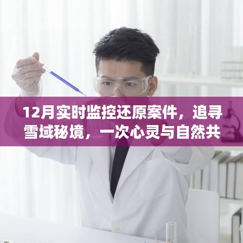 雪域秘境追蹤,12月實(shí)時(shí)監(jiān)控還原案件的心靈之旅