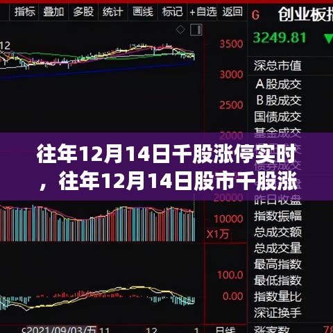 張燈結(jié)彩 第5頁