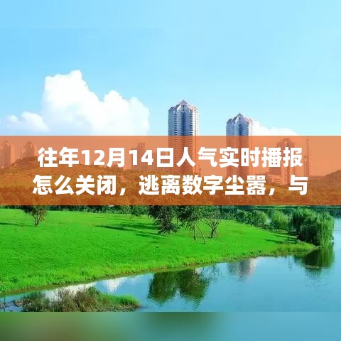如何關(guān)閉人氣實(shí)時(shí)播報(bào)，尋找自然美景之旅，逃離數(shù)字塵囂的指南