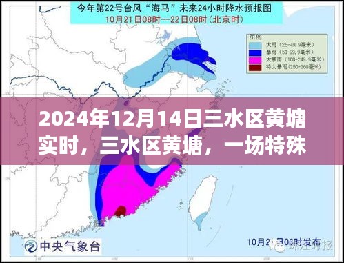 三水區黃塘，特殊時刻的回顧與記錄（2024年12月14日）