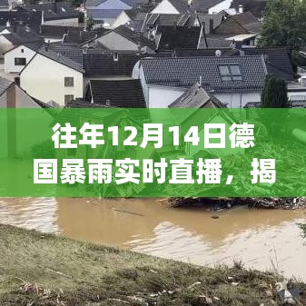 揭秘德國(guó)暴雨,實(shí)時(shí)直播下的天氣巨變與往年12月14日的暴雨紀(jì)實(shí)