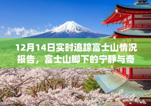 丟三落四 第4頁