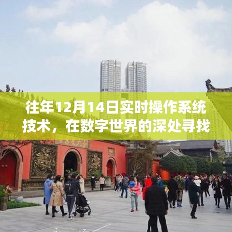數(shù)字世界的探索與內(nèi)心寧靜的追求,十二月十四日實(shí)時(shí)操作系統(tǒng)技術(shù)的自然之旅