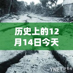 河北路況實時播報，科技引領未來，今日路況盡在掌控——歷史上的12月14日路況播報