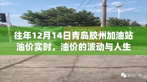 青島膠州加油站油價(jià)實(shí)時(shí)動態(tài)，波動中的人生啟示與自信閃耀的挑戰(zhàn)之路