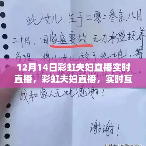 彩虹夫婦直播深度解析,實時互動體驗與互動體驗新高度探索