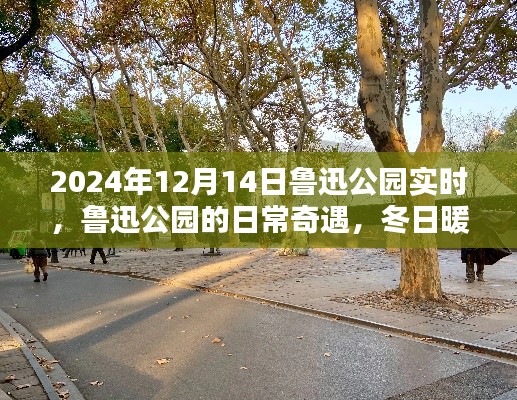 魯迅公園冬日暖陽下的日常奇遇與溫馨時(shí)光紀(jì)實(shí)(實(shí)時(shí)更新)