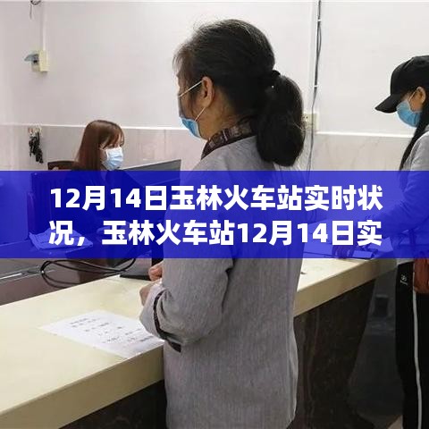 玉林火車站12月14日實時觀察,擁擠與效率并存的情況