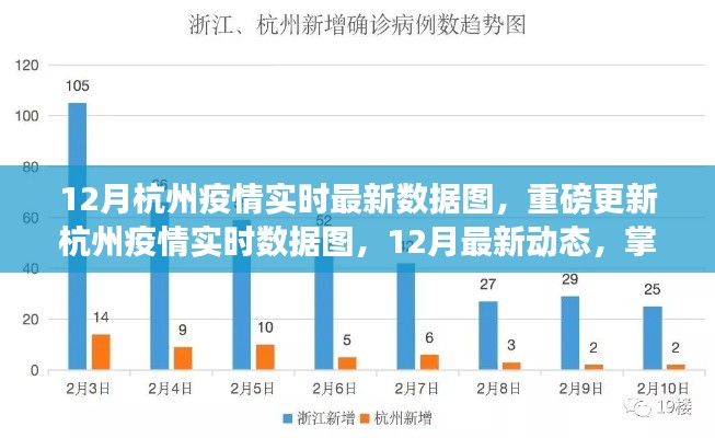 12月杭州疫情實時數據圖更新,掌握最新動態,共筑健康防線