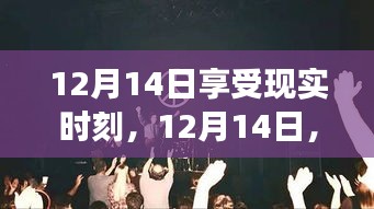 12月14日,與自然共舞,尋找內心平靜的奇妙之旅