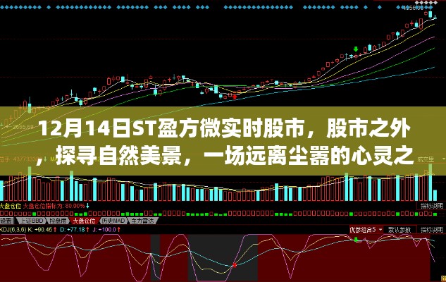 ST盈方微股市輕語,探尋自然美景的心靈之旅,啟程于股市之外