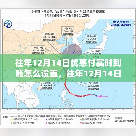 往年12月14日優惠支付實時到賬設置詳解及探討