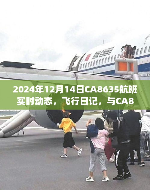 CA8635航班實時動態(tài),飛行日記與溫馨相遇的旅程