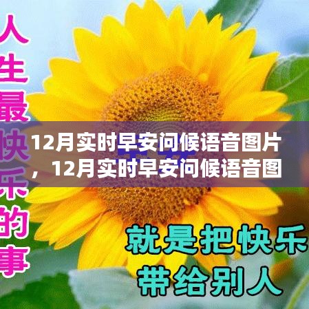 12月實時早安問候語音圖片,傳遞溫暖與活力的價值之旅