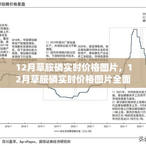 12月草胺磷實時價格圖片詳解與全面評測