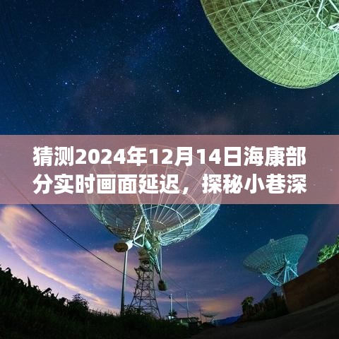 探秘小巷深處的特色小店,預測海康未來實時畫面延遲之旅揭秘與猜測(海康部分實時畫面延遲現象分析)