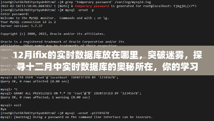 探尋十二月實(shí)時數(shù)據(jù)庫位置,學(xué)習(xí)之旅啟程