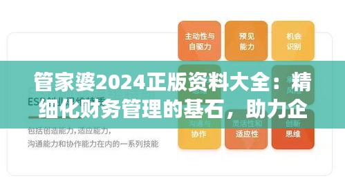 管家婆2024正版資料大全:精細化財務管理的基石,助力企業穩健發展