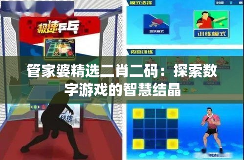 管家婆精選二肖二碼:探索數字游戲的智慧結晶