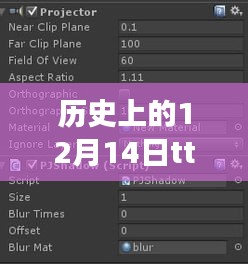 歷史上的1??月十四日,TT實時變聲技術的演變與影響