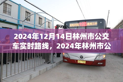 2024年林州市公交車實時路線指南,12月14日最新路線