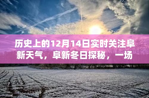 阜新冬日探秘,實(shí)時(shí)天氣關(guān)注與自然的邂逅之旅,尋找內(nèi)心寧靜的冬日體驗(yàn)