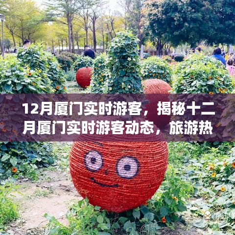 揭秘十二月廈門游客動態(tài),旅游熱點、特征與活動亮點