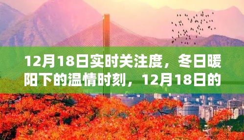 12月18日實時關注,冬日暖陽下的溫情時刻