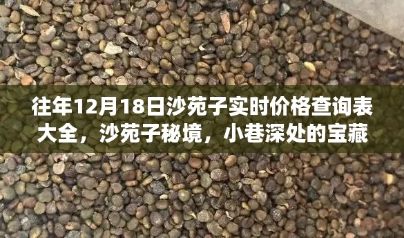 沙苑子實(shí)時(shí)價(jià)格查詢表及秘境探秘,小巷深處的寶藏與價(jià)格探秘之旅
