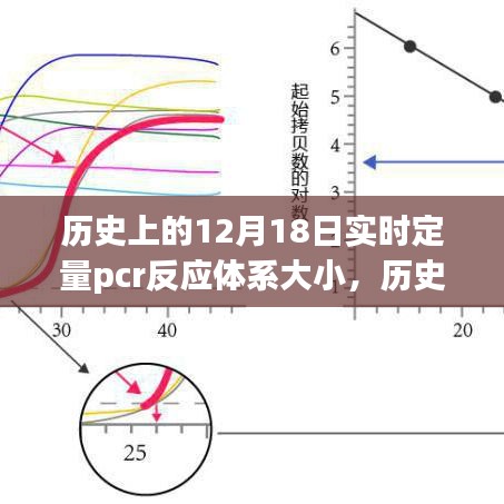 探討歷史上的實時定量PCR反應體系大小演變及其影響在十二月十八日的研究歷程