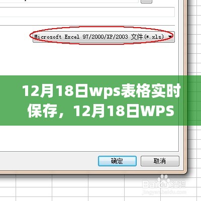 12月18日WPS表格實時保存設置，提升工作效率的關鍵