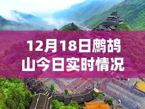 鷓鴣山今日實時情況,特色小店帶你領略別樣冬日風情,驚喜藏于深山之中