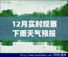 十二月的魔法時刻，雨中探索自然美景，與內心的寧靜共舞的天氣之旅