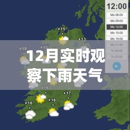 十二月的魔法時刻,雨中探索自然美景,與內心的寧靜共舞的天氣之旅
