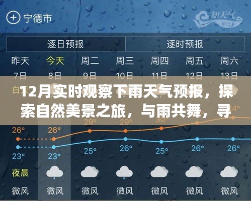 十二月的魔法時刻,雨中探索自然美景,與內心的寧靜共舞的天氣之旅