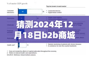 深度評測,預測與解析2024年12月18日B2B商城實時票據特性、體驗、競品對比及用戶群體分析
