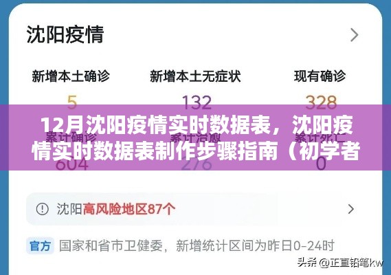 沈陽疫情實時數(shù)據(jù)表制作指南,初學(xué)者與進階用戶適用