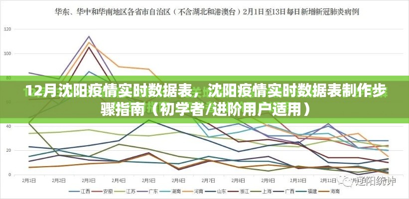 沈陽疫情實(shí)時數(shù)據(jù)表制作指南，初學(xué)者與進(jìn)階用戶適用
