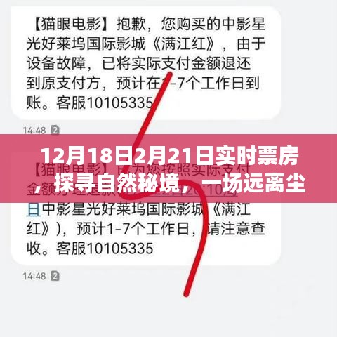 探尋自然秘境的心靈之旅，揭秘實時票房熱議背后的故事