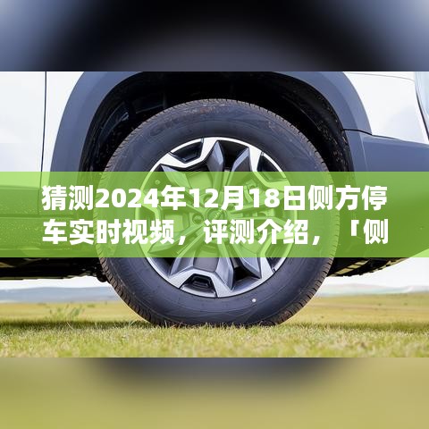 側(cè)方停車技術(shù)展望,2024年的停車體驗(yàn)革新實(shí)時(shí)視頻評測介紹