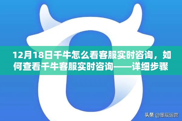 千牛客服實時咨詢查看指南，初學者與進階用戶的詳細步驟