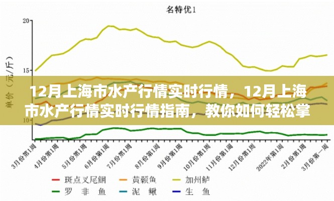 掌握上海水產市場脈搏,12月實時行情指南