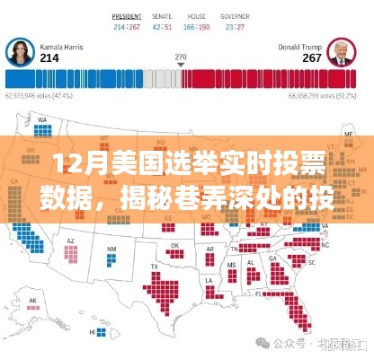 揭秘美國選舉風(fēng)云,巷弄深處的投票數(shù)據(jù)寶藏親歷之旅