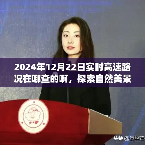 探索自然美景之旅,實時高速路況查詢指南與尋找內心平靜的旅程