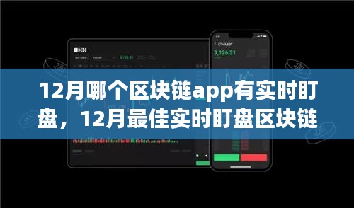 12月最佳實(shí)時(shí)盯盤區(qū)塊鏈App評析,哪款應(yīng)用能助你洞悉市場動(dòng)態(tài)?