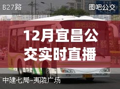 掌握出行信息必備,宜昌公交實時直播電話在線直播服務啟動